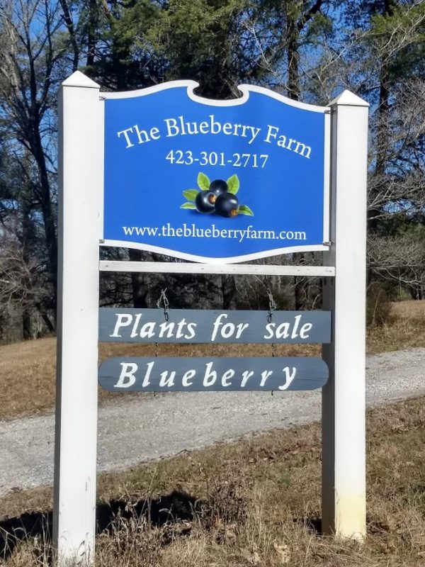 Visit Us The Blueberry Farm